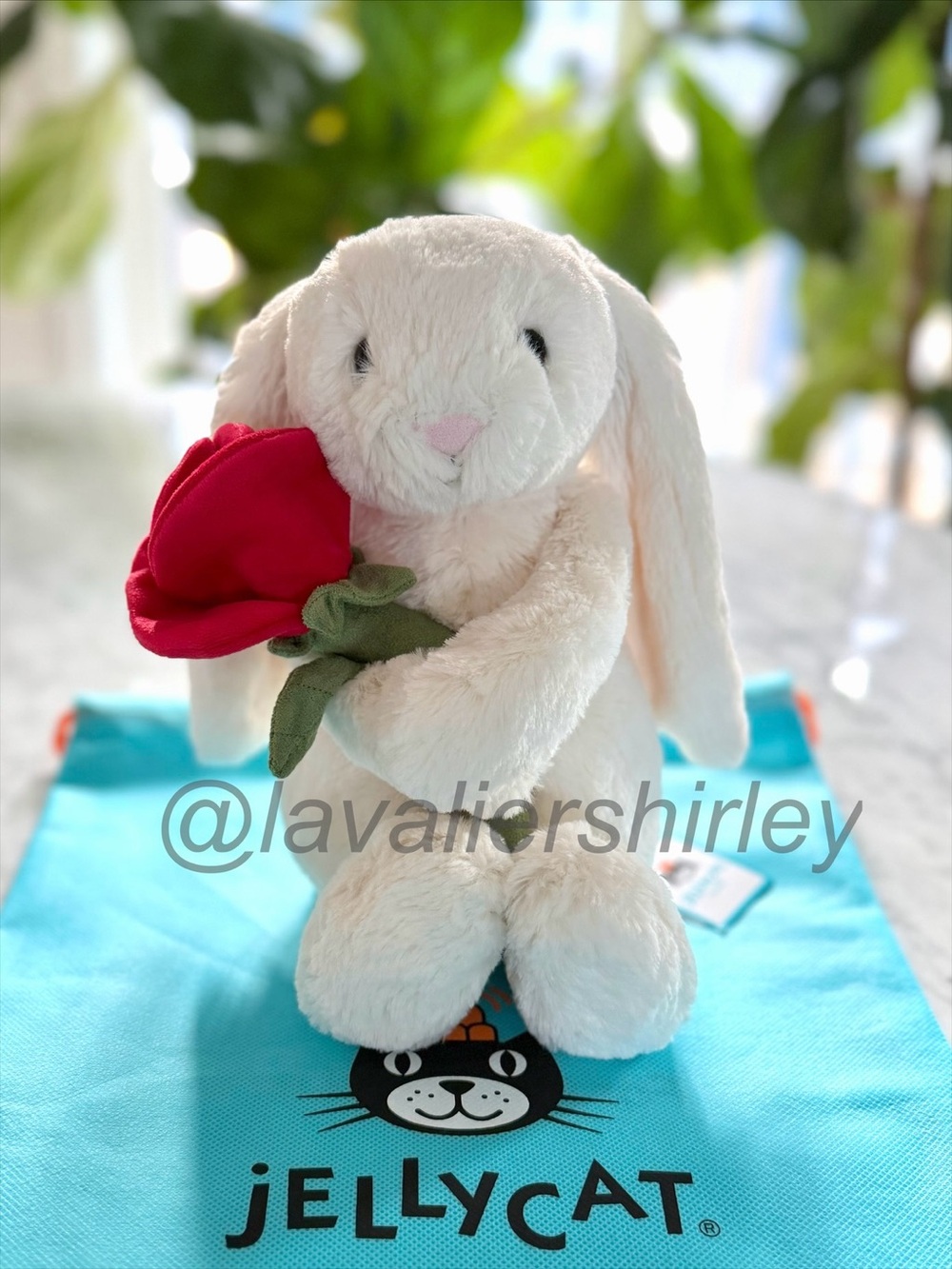 Jellycat Cream Bunny With Rose NWT Authentic